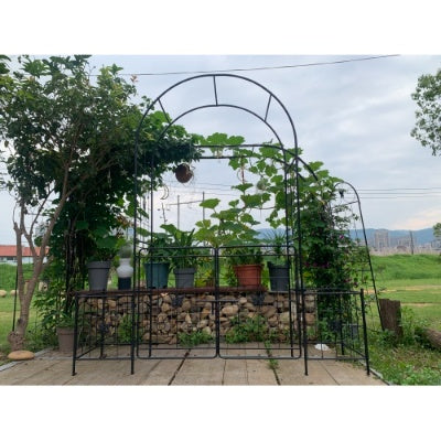 Iron Garden Arch Arbor with Gate & Lattice Panels – Easy Assembly, Climbing Plants