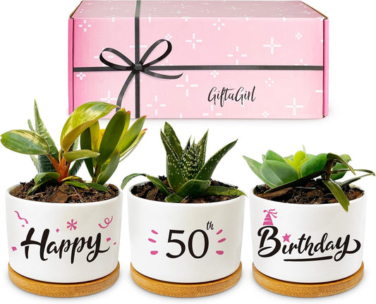 50Th Birthday Gifts for Women - Beautiful Keepsake 50Th Birthday Gift Ideas. Our Pretty Pots Are Perfect 50Th Birthday Decor or Gifts for Women Turning 50 and Arrive Beautifully Gift Boxed
