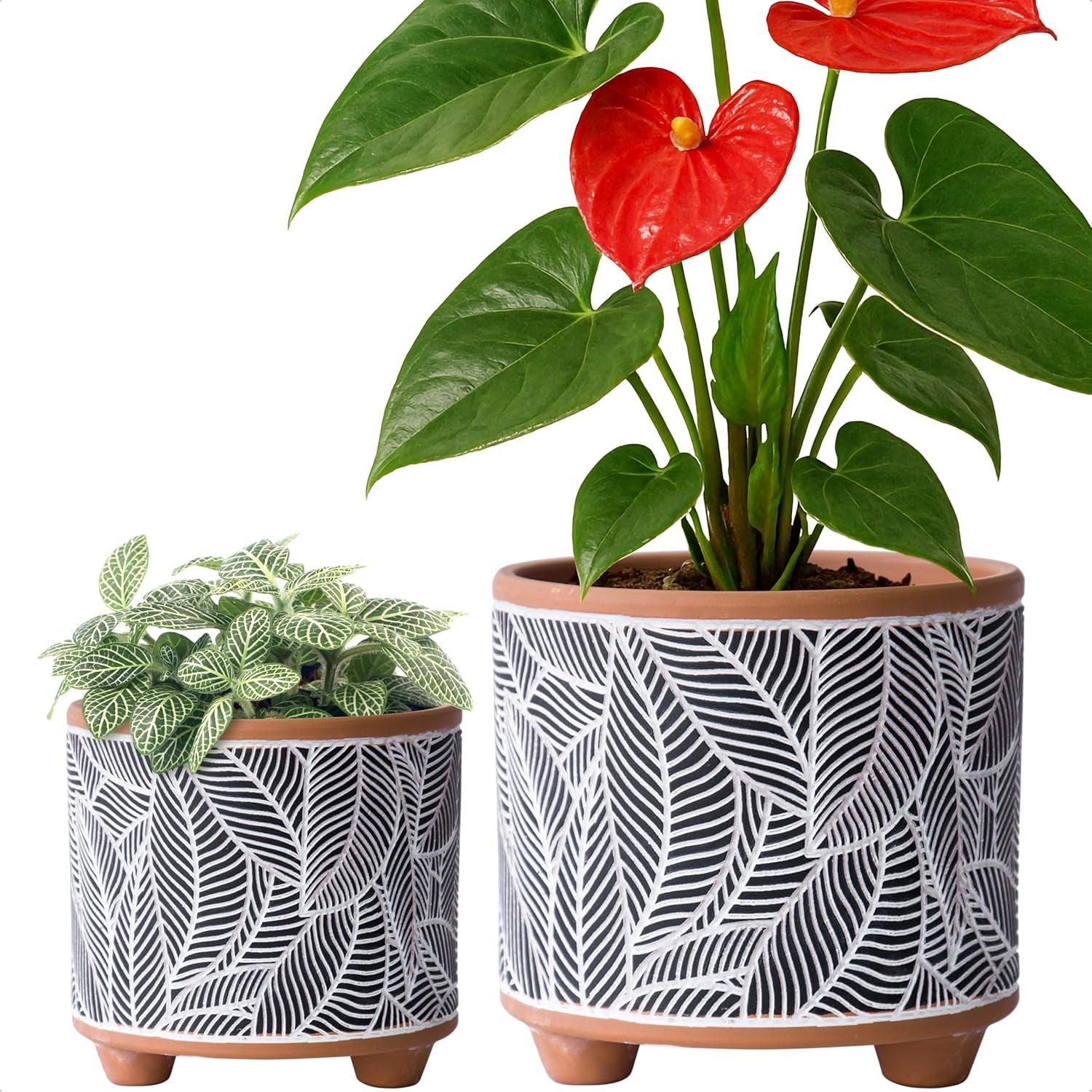 Set of 2 Terracotta Planter Pots, 4 Inch & 6 Inch, Design Plants Pot with Drainage Hole, Desert Mirage, Terracotta/White, 31-953-B-1