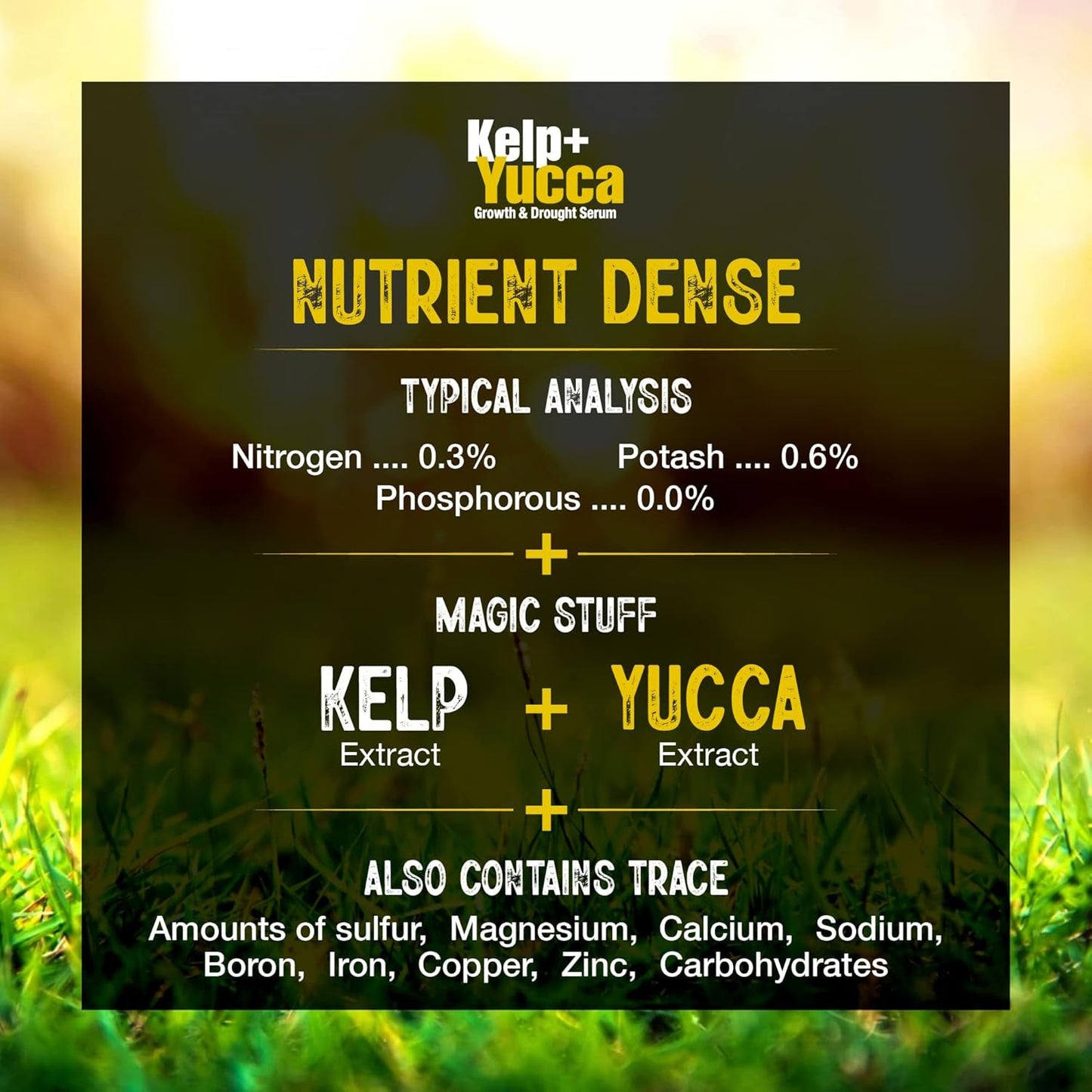 GS Plant Foods Kelp and Yucca Liquid Organic Soil and Plant Enhancer