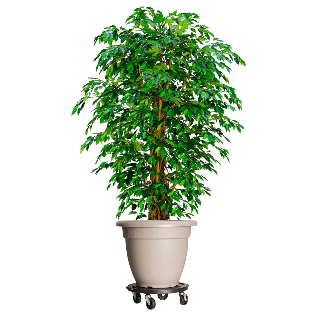 Heavy-Duty Rolling Plant Caddy - 600 lb Capacity Outdoor Pot Dolly