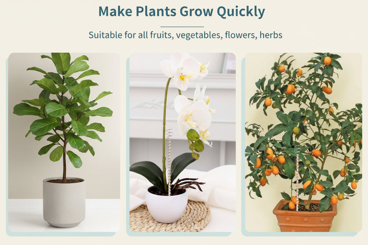 Promotional image for plant growth product with text 'Make Plants Grow Quickly' and images of plants indoors.