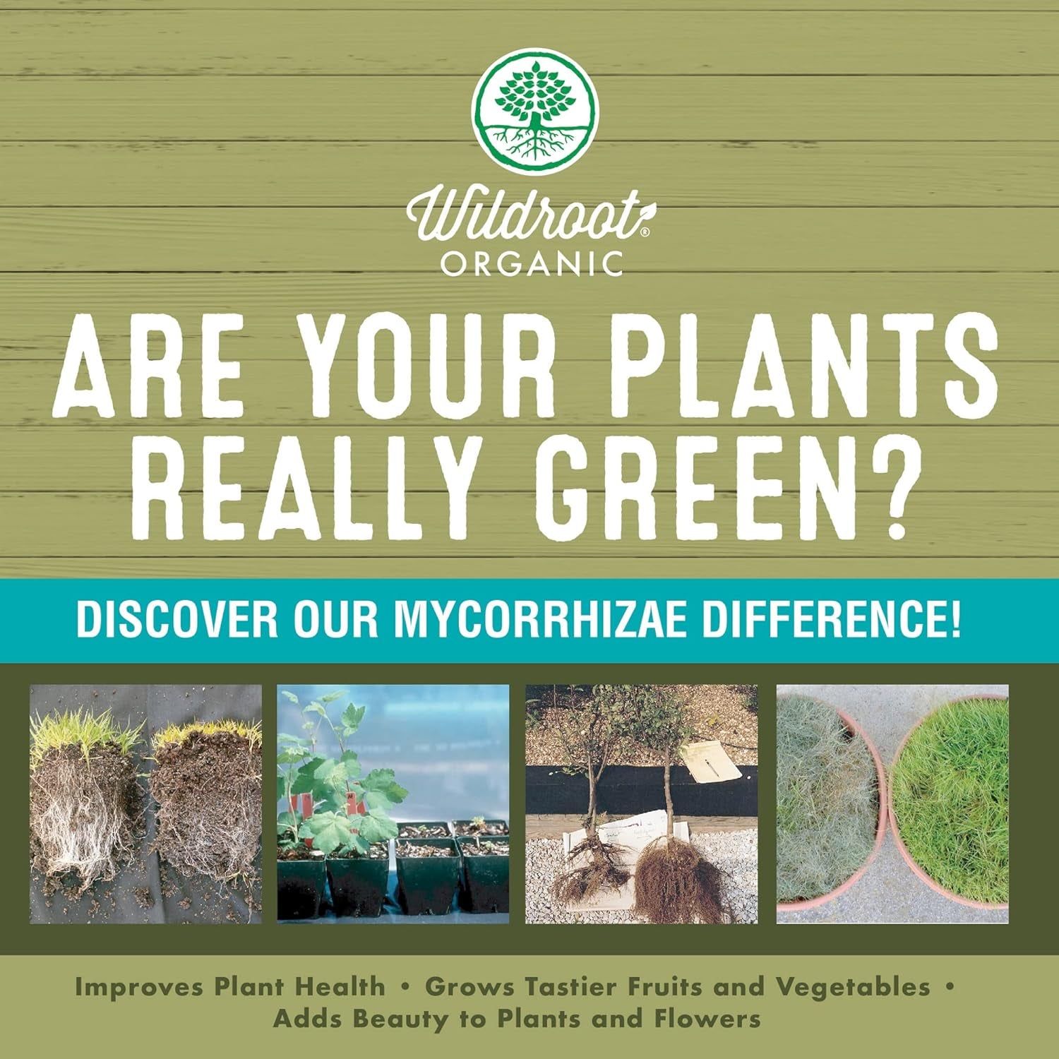 Organic 5 Oz Mycorrhizae 16 Species Inoculant Treats 6,000 4-Inch Plants. Explodes Root Growth, Saves Water. Allow Your Plants, Garden and Trees to Thrive!
