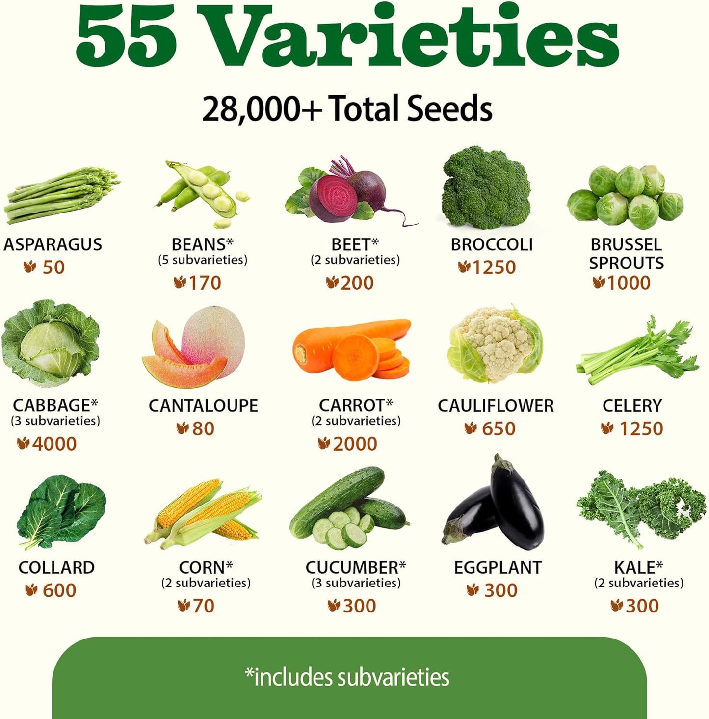 55 Vegetable Seeds Pack – 28,000+ 𝗨𝗦𝗔 Heirloom 𝗡𝗢𝗡-𝗚𝗠𝗢 Seeds for Planting – Spring, Fall, Winter Garden Kit – Survival Seed Vault for Preppers & Gardeners – Gift for Men & Women