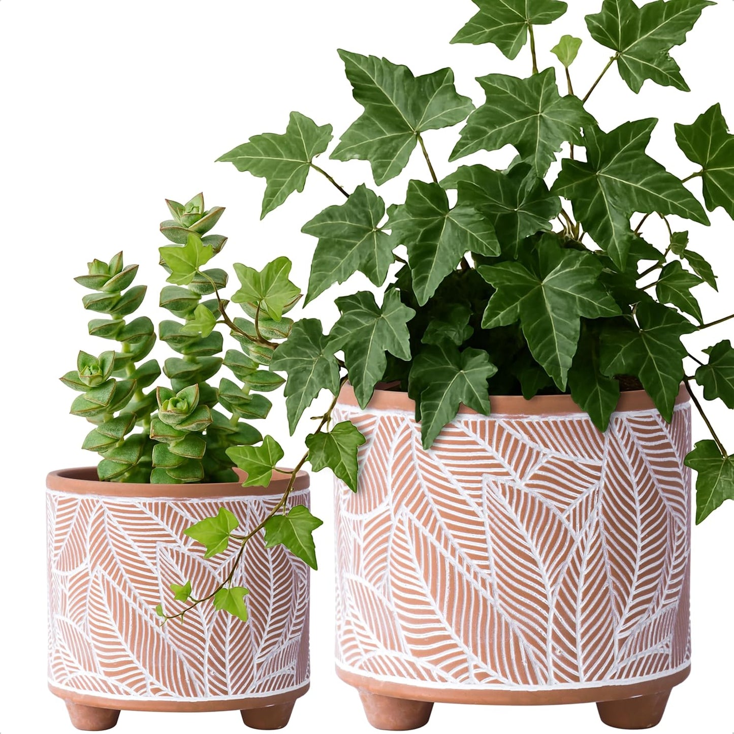 Set of 2 Terracotta Planter Pots, 4 Inch & 6 Inch, Design Plants Pot with Drainage Hole, Desert Mirage, Terracotta/White, 31-953-B-1