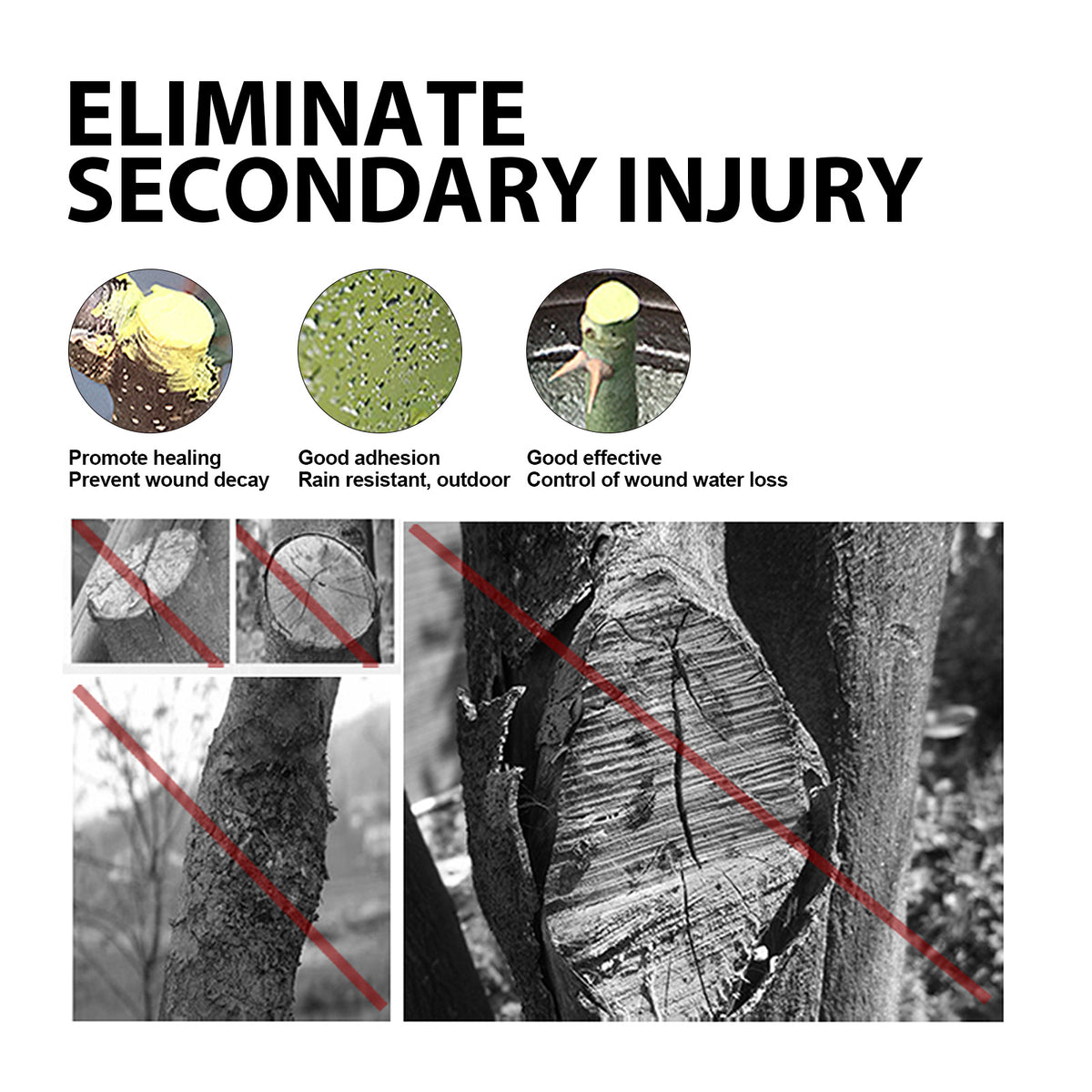 Tree Wound Healing Paste – Pruning Sealant for Trees & Shrubs