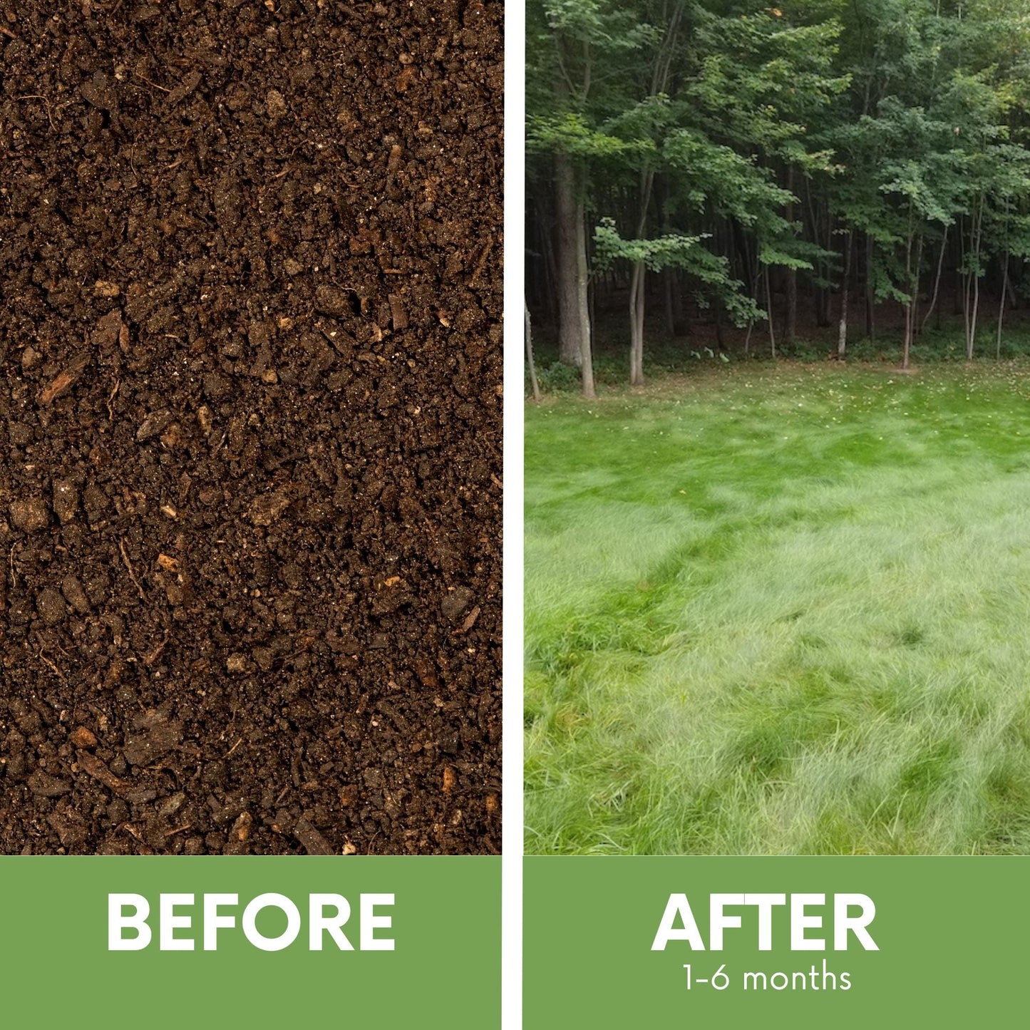 Simple Lawn Low Maintenance Grass Seed Blend – Drought Tolerant, Up to 4,000 Sq Ft - Rooted Supplies