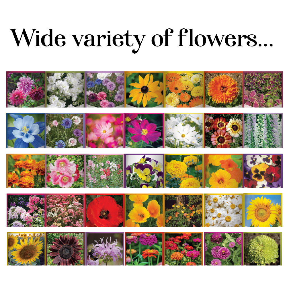 35 Flower Seed Variety Pack – Heirloom, Non-GMO, Pollinator Garden Mix