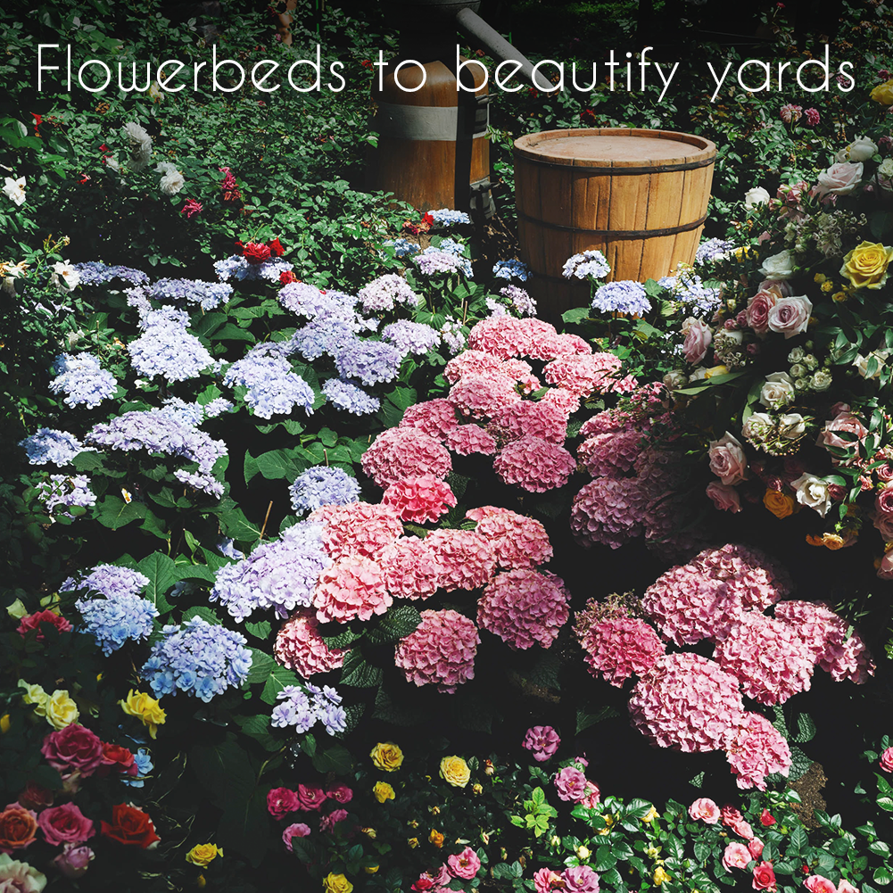 35 Flower Seed Variety Pack – Heirloom, Non-GMO, Pollinator Garden Mix