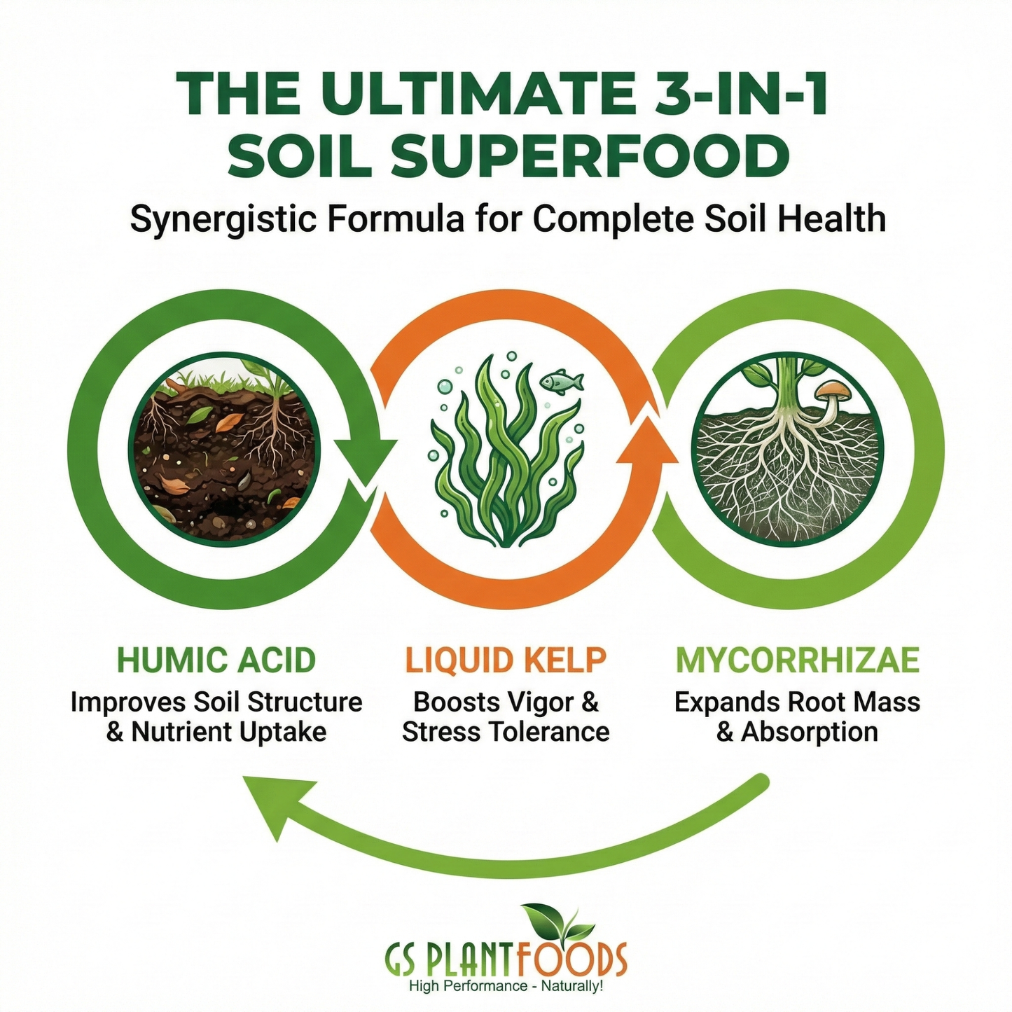 GS Plant Foods Root Ruckus Organic Soil Detox and Mycorrhizae Blend