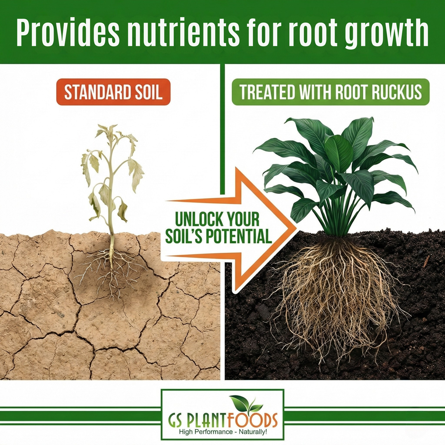 GS Plant Foods Root Ruckus Organic Soil Detox and Mycorrhizae Blend