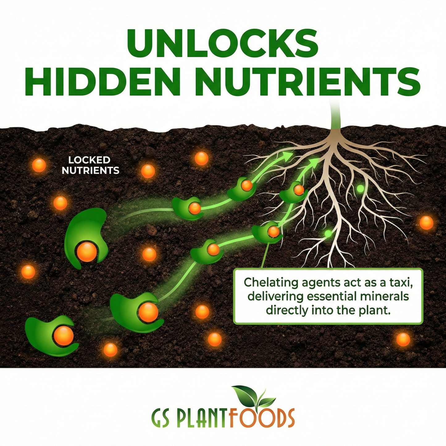 GS Plant Foods Root Ruckus Organic Soil Detox and Mycorrhizae Blend