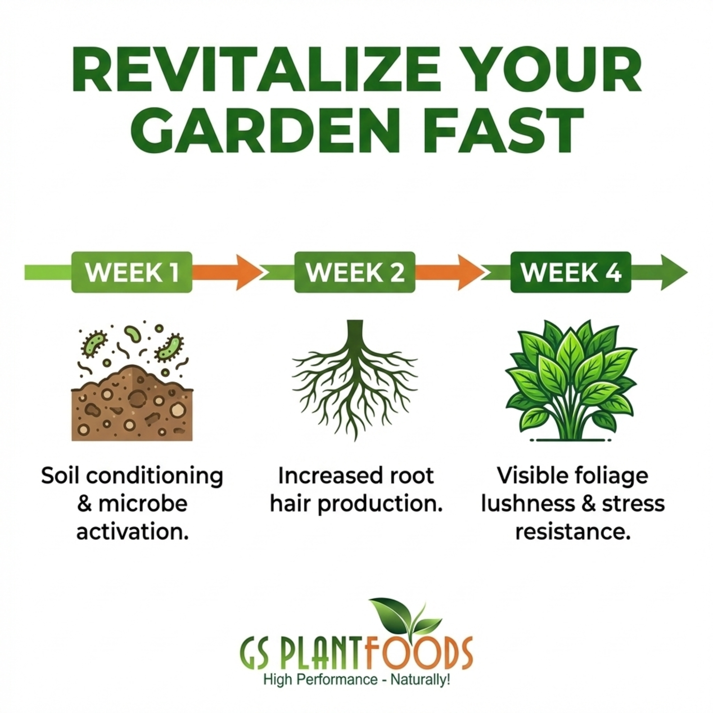 GS Plant Foods Root Ruckus Organic Soil Detox and Mycorrhizae Blend