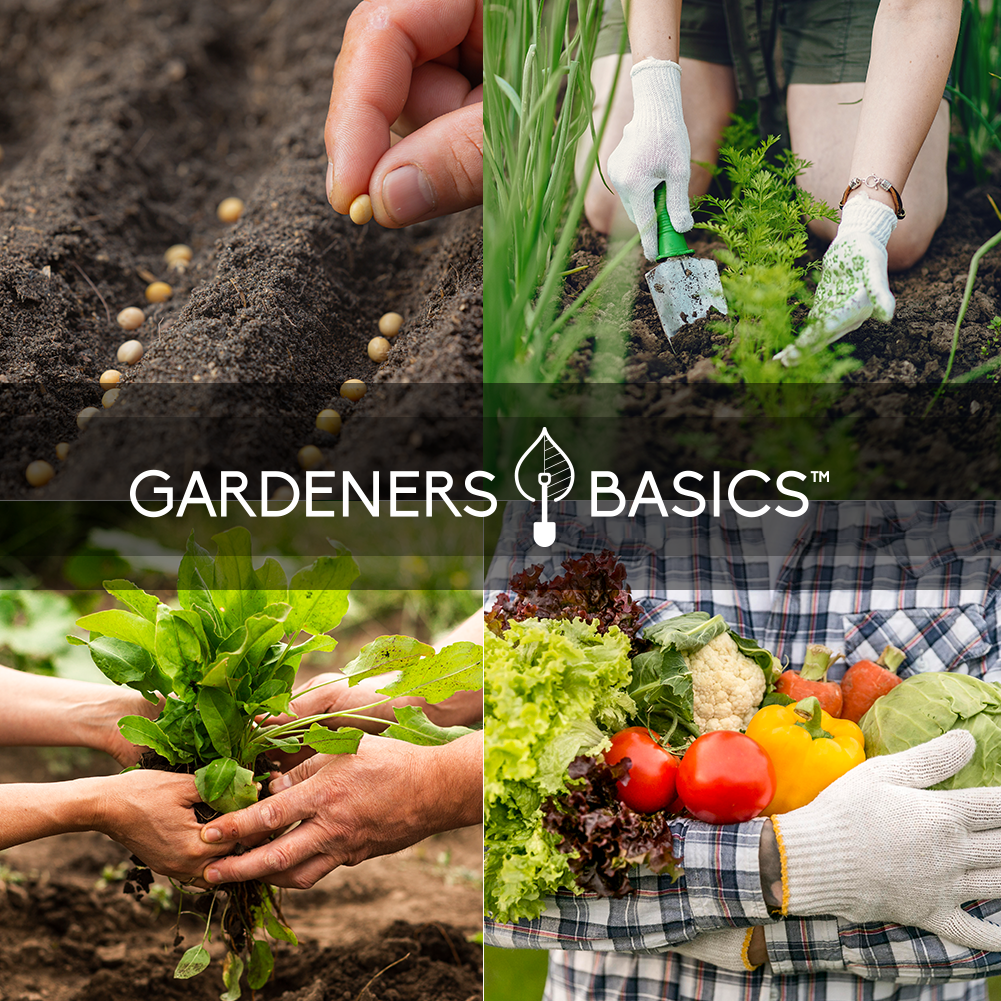 Collage of gardening activities with 'Gardeners Basics' logo.