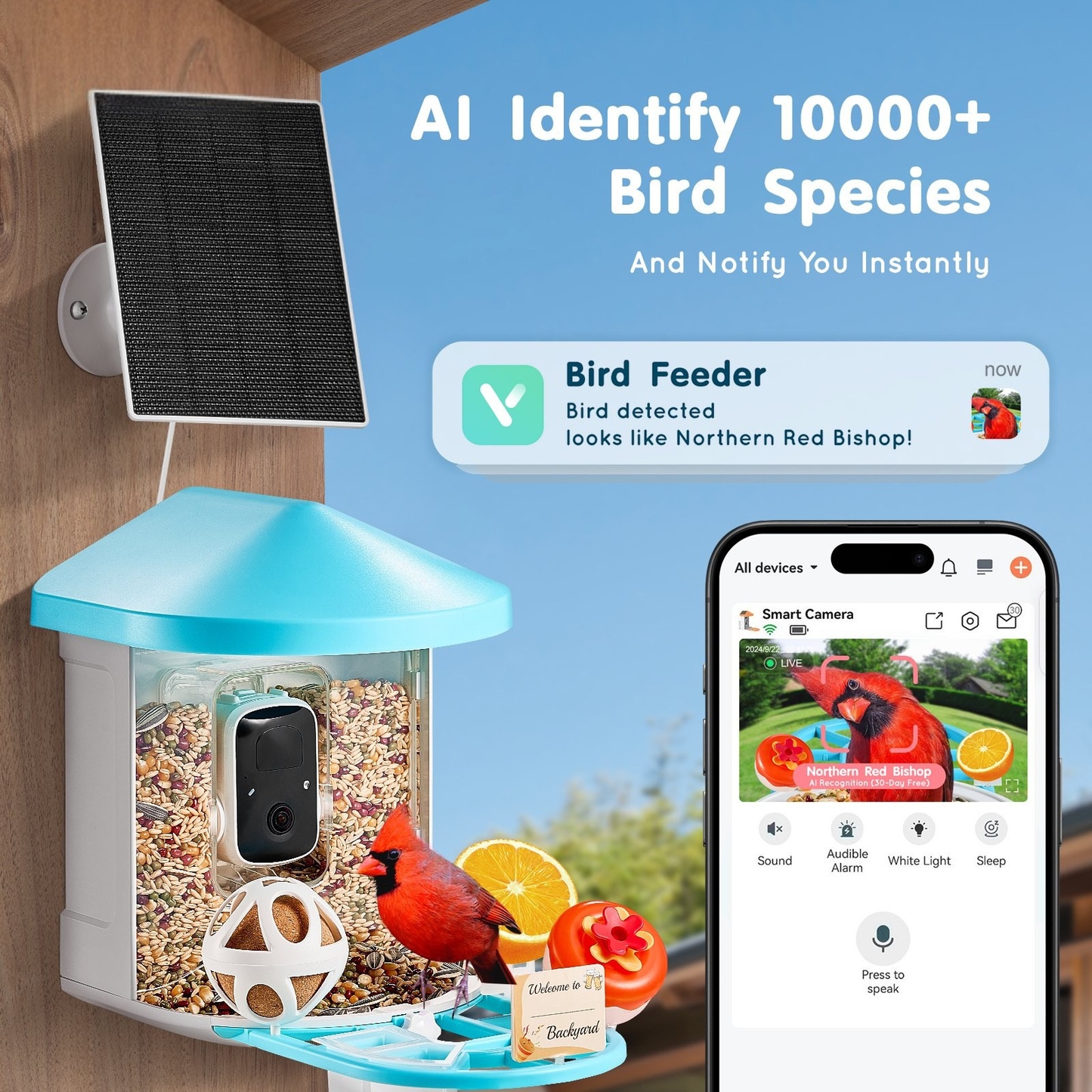 Smart Bird Feeder with 2K HD Camera & AI Species Identification