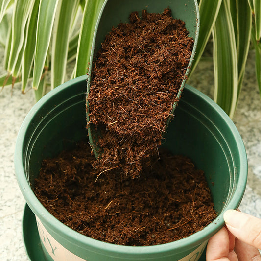 Desalted Coco Peat Brick - Expanding Coconut Coir for Seed Starting & Gardens