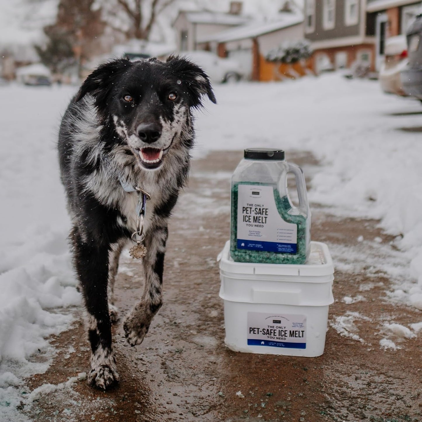 Pet Friendly Ice Melt - Calcium Chloride Free, Pet Safe Ice Melter, Rock Salt Alternative - Time Release Deicer Formula Lasts 3X Longer (10 Lb)