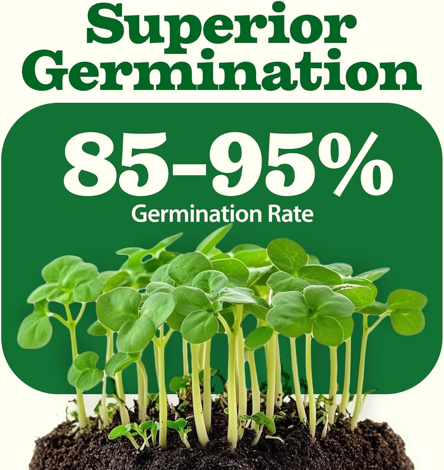 55 Vegetable Seeds Pack – 28,000+ 𝗨𝗦𝗔 Heirloom 𝗡𝗢𝗡-𝗚𝗠𝗢 Seeds for Planting – Spring, Fall, Winter Garden Kit – Survival Seed Vault for Preppers & Gardeners – Gift for Men & Women
