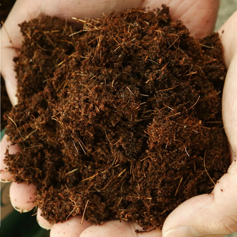 Desalted Coco Peat Brick - Expanding Coconut Coir for Seed Starting & Gardens