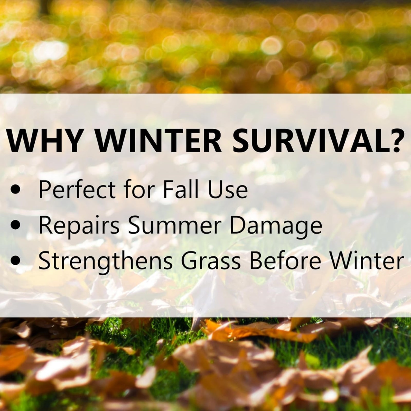Jonathan Green Winter Survival Fall Lawn Fertilizer, 5M (5,000 Sq Ft Coverage)