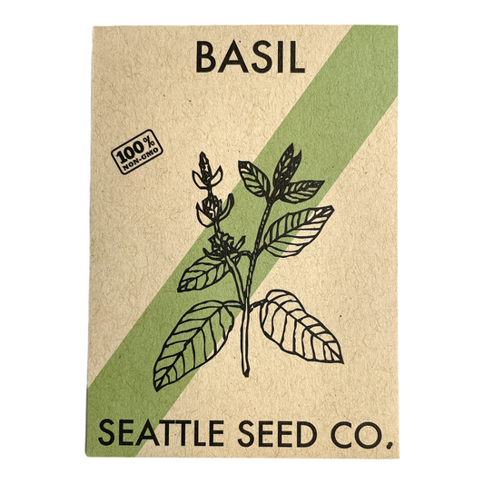Italian Large Leaf Basil Seeds – Sweet Culinary Herb for Garden & Containers
