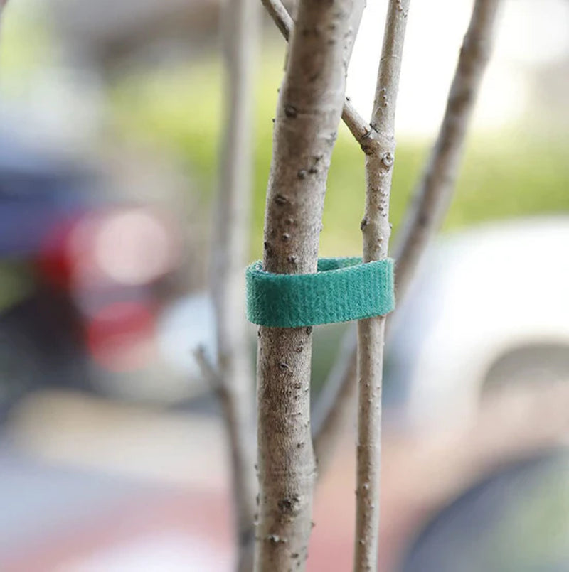 Plant Velcro Ties