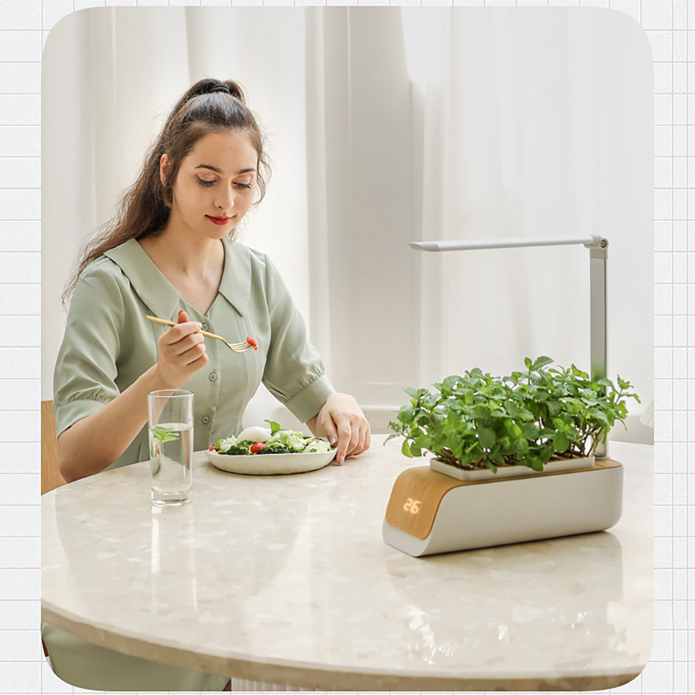 Hydroponic Indoor Garden System with LED Grow Lights - 30cm Planter