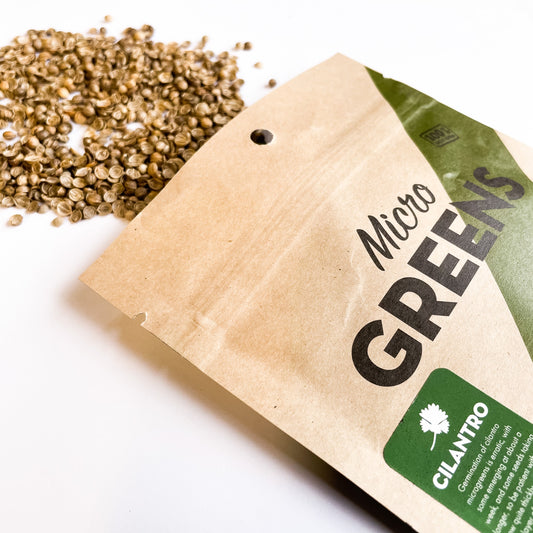Cilantro Microgreen Seeds – Fresh Herb Sprouting Seeds for Home Growing