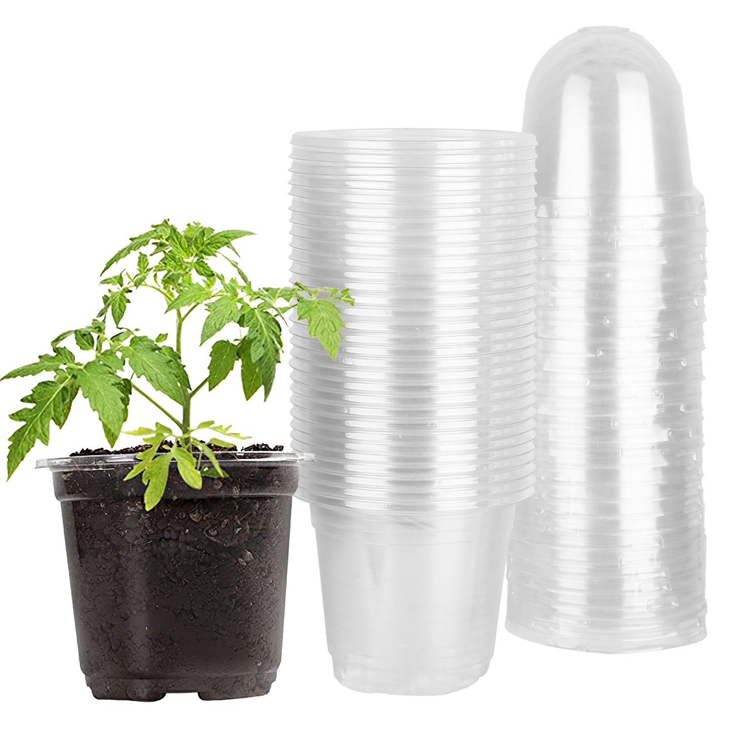 30-Pack Clear Nursery Starter Pots with Humidity Domes – 9-Hole Drainage, Reusable