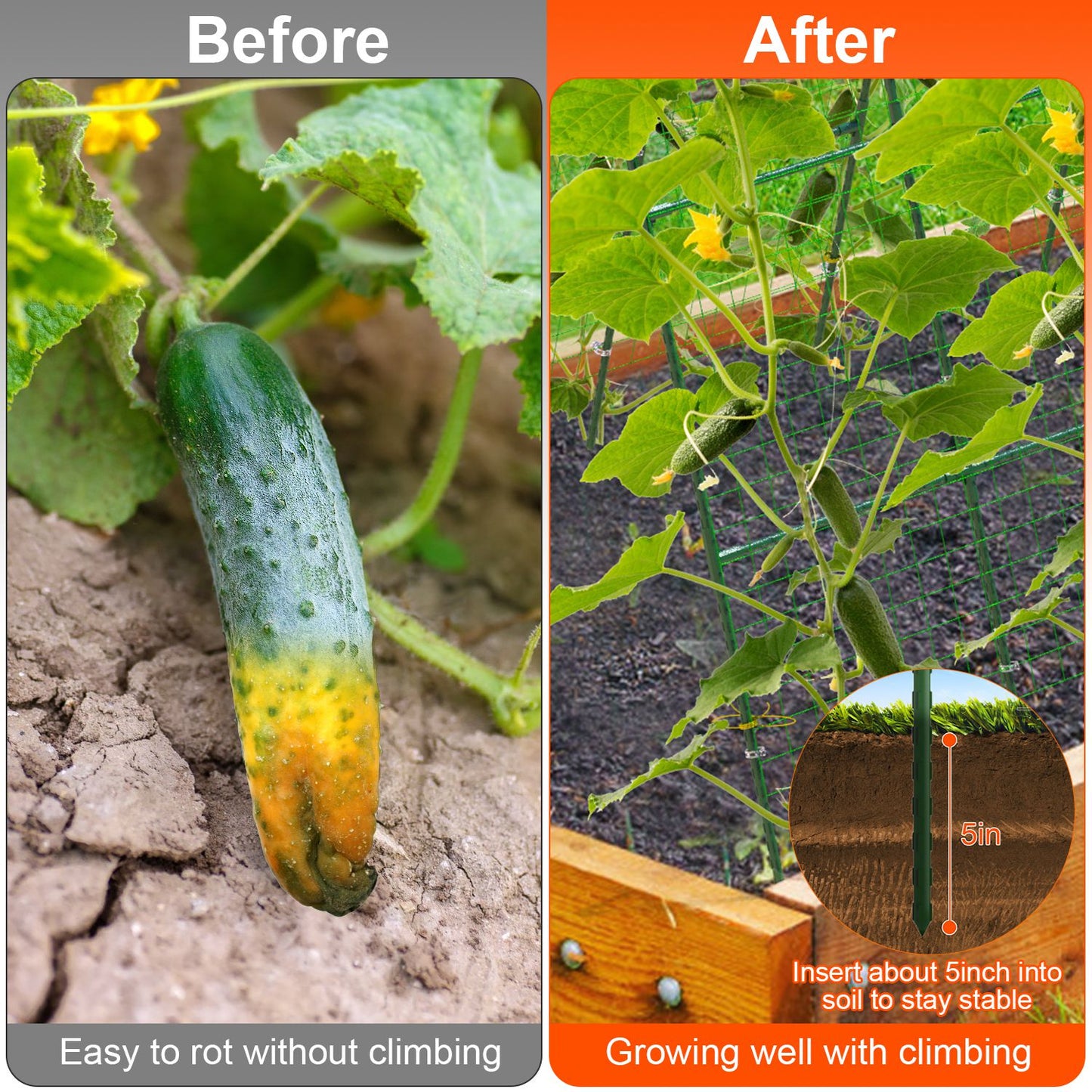 U-Shaped Garden Arch Trellis with Climbing Net – 49.6x47.2 in Tunnel Frame