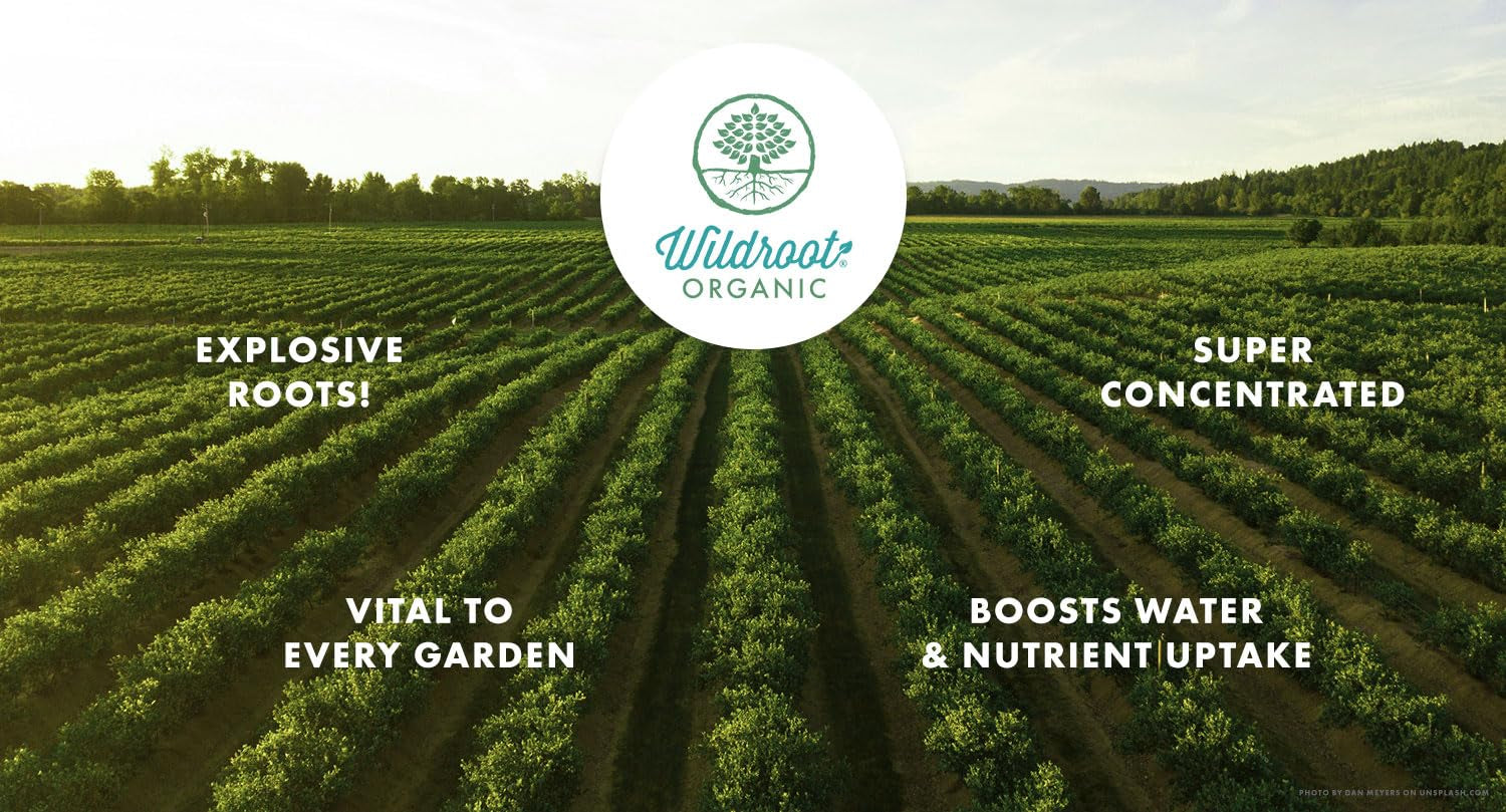 Organic 5 Oz Mycorrhizae 16 Species Inoculant Treats 6,000 4-Inch Plants. Explodes Root Growth, Saves Water. Allow Your Plants, Garden and Trees to Thrive!