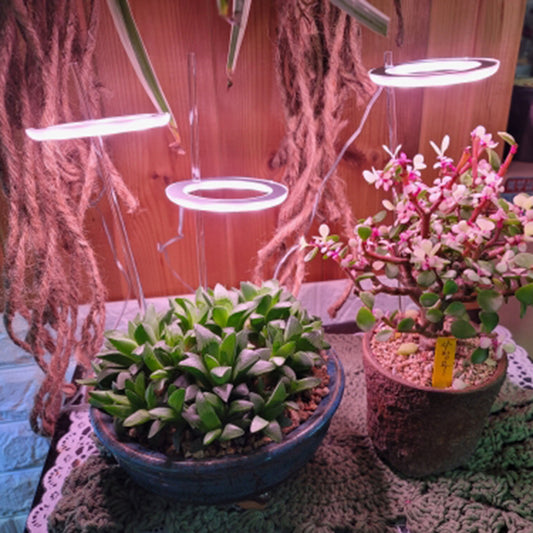 USB LED Grow Light Ring - Full Spectrum Plant Light for Indoor Seedlings