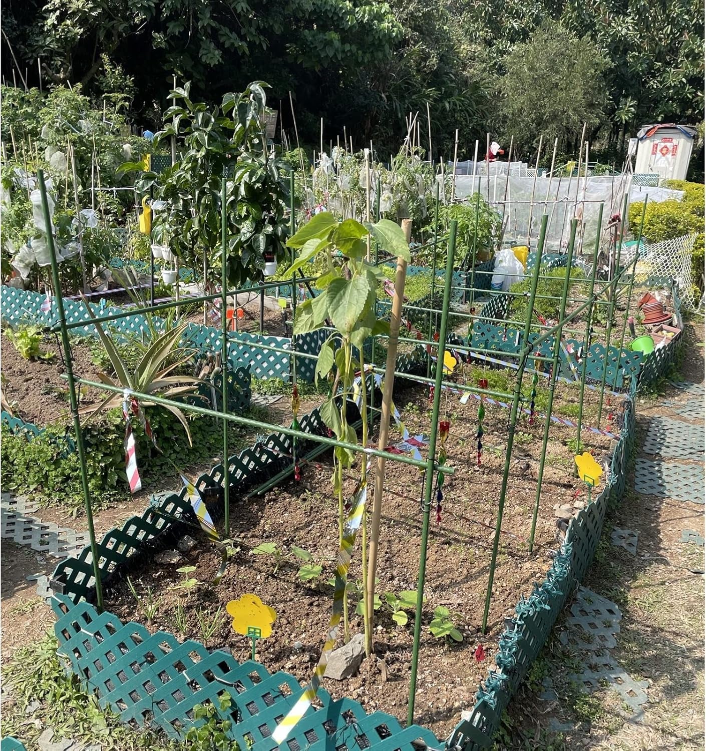 Sturdy Metal Garden Stakes 4 Ft Plastic Coated Steel Tube Plant Sticks for Tomato,Cucumber,Bean,Tree,Pack of 50