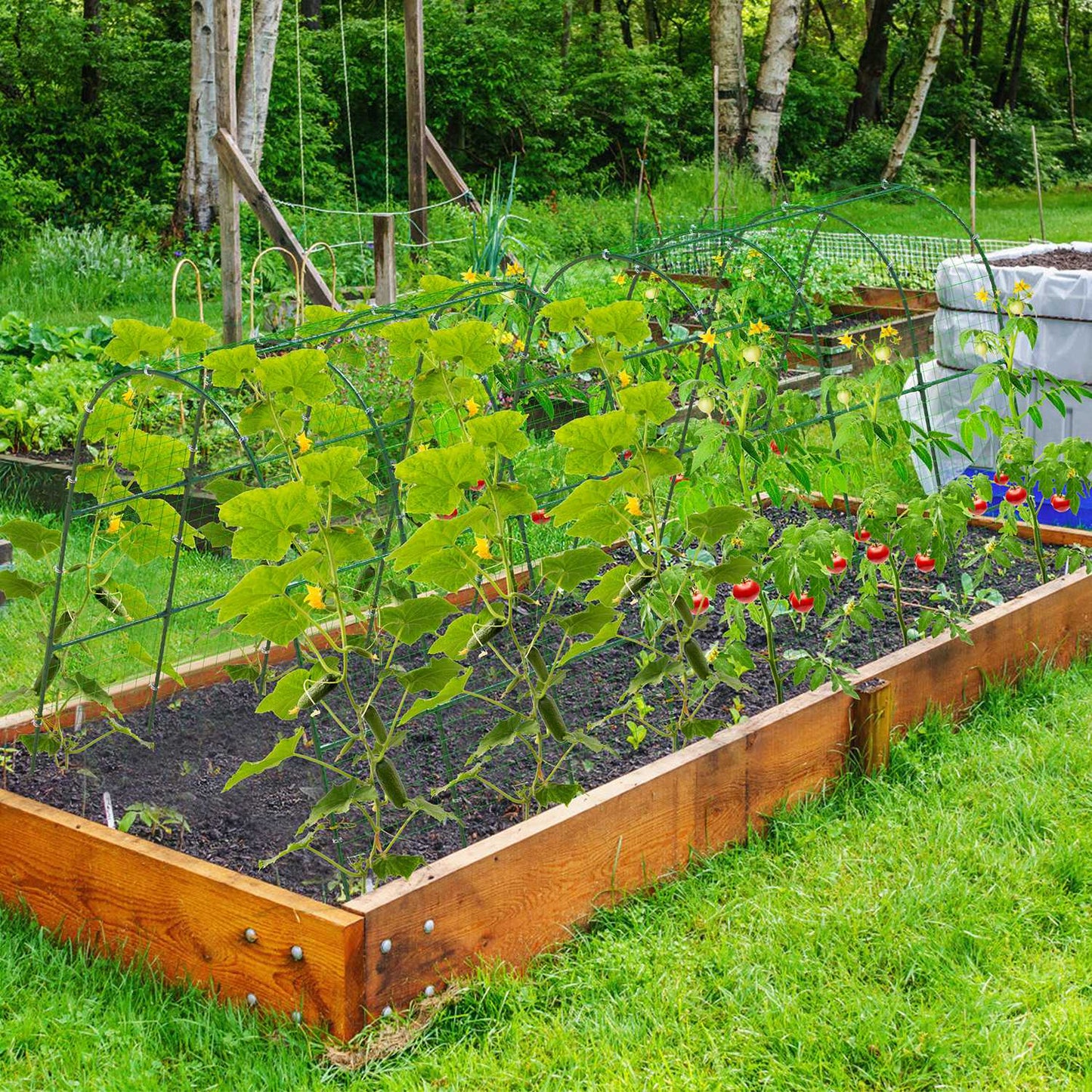 U-Shaped Garden Arch Trellis with Climbing Net – 49.6x47.2 in Tunnel Frame