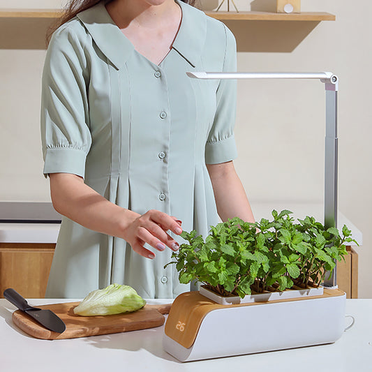 Hydroponic Indoor Garden System with LED Grow Lights - 30cm Planter
