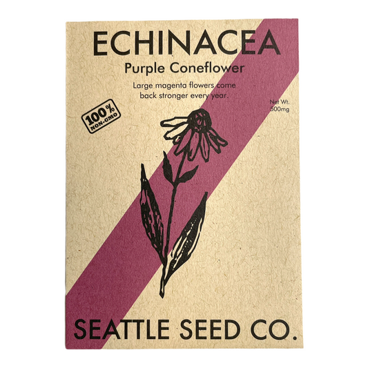 Echinacea Purpurea Seeds – Purple Coneflower for Gardens & Immune Support