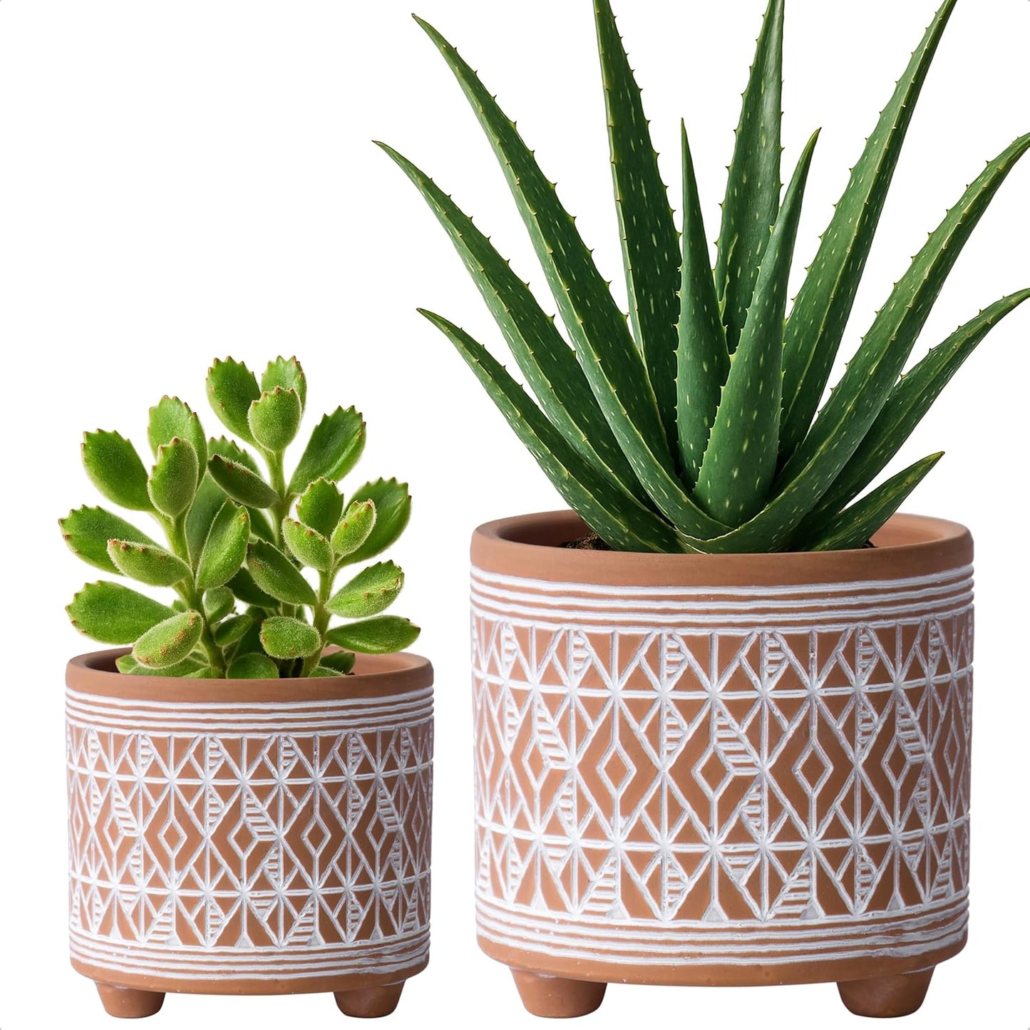 Set of 2 Terracotta Planter Pots, 4 Inch & 6 Inch, Design Plants Pot with Drainage Hole, Desert Mirage, Terracotta/White, 31-953-B-1