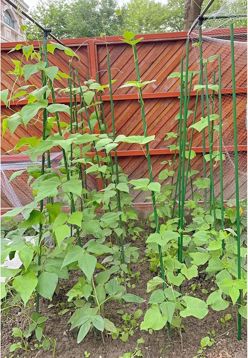 Sturdy Metal Garden Stakes 4 Ft Plastic Coated Steel Tube Plant Sticks for Tomato,Cucumber,Bean,Tree,Pack of 50