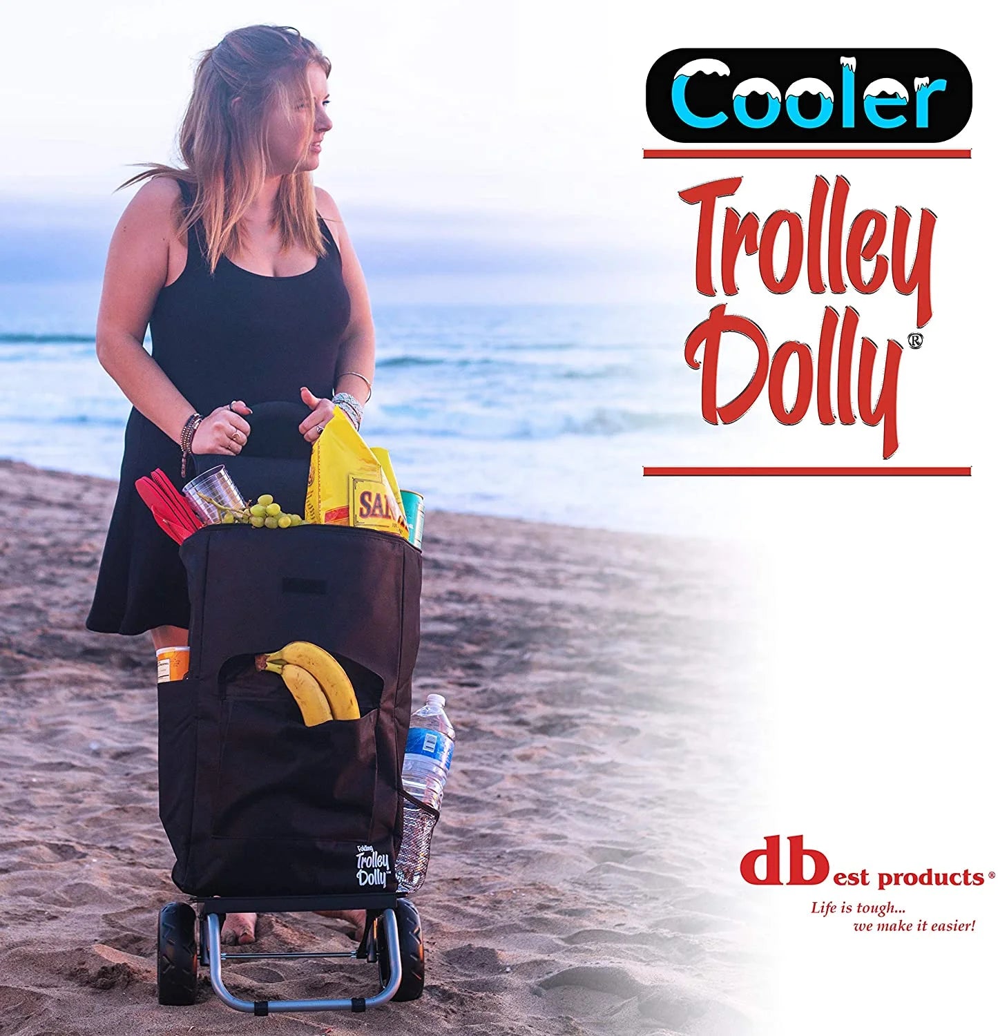 Cooler Trolley Dolly, Black Insulated Cooler Bag Folding Collapsible Rolling Shopping Grocery Tailgating Bbq Beer Ice Cart