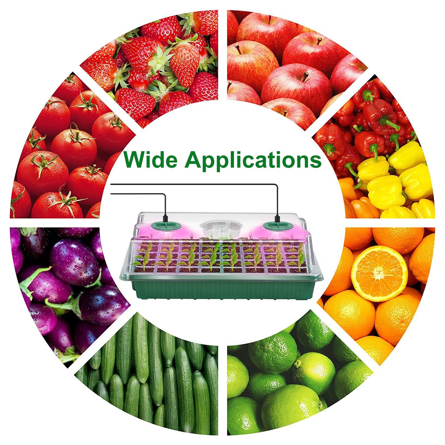 2-Pack Seed Starter Tray with LED Grow Lights - 40 Cell Propagation Kit