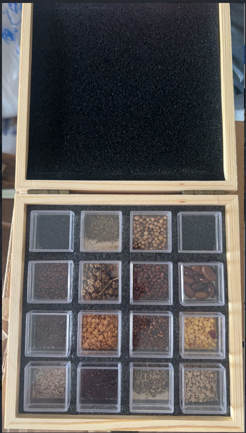 Wooden Seed Storage Box - 16-Slot Organizer for Garden Seed Saving