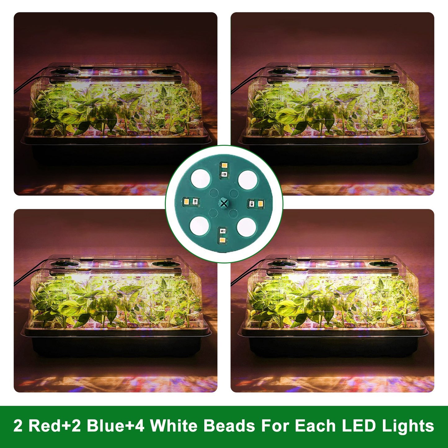 2-Pack Seed Starter Tray with LED Grow Lights - 40 Cell Propagation Kit