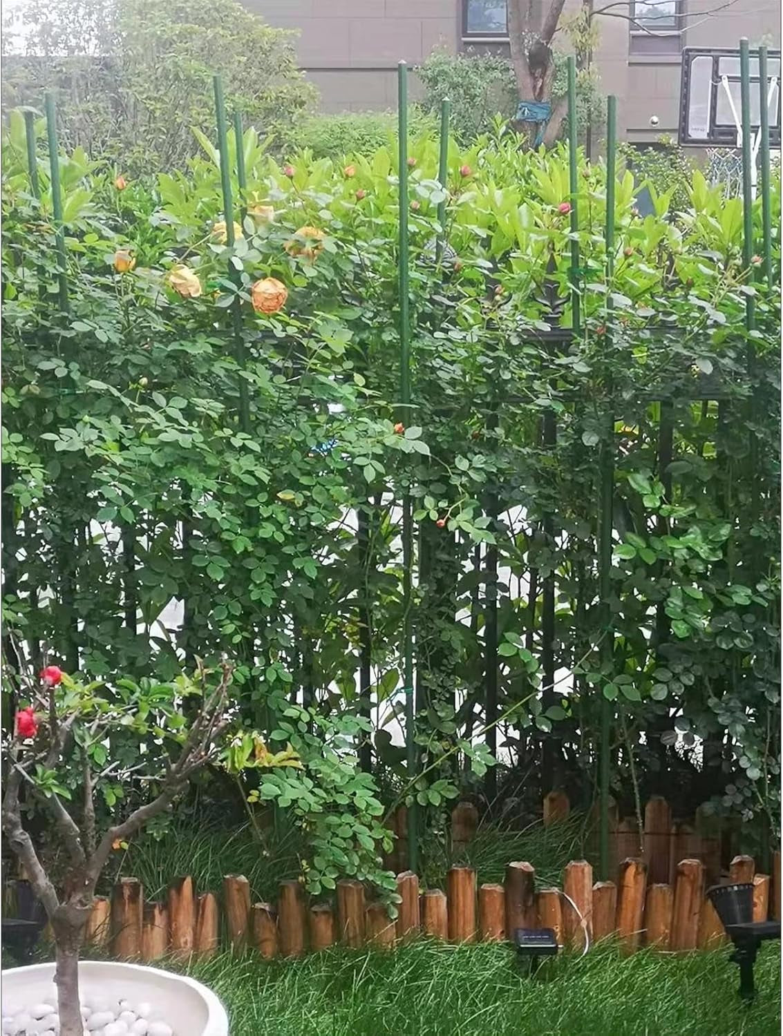 Sturdy Metal Garden Stakes 4 Ft Plastic Coated Steel Tube Plant Sticks for Tomato,Cucumber,Bean,Tree,Pack of 50
