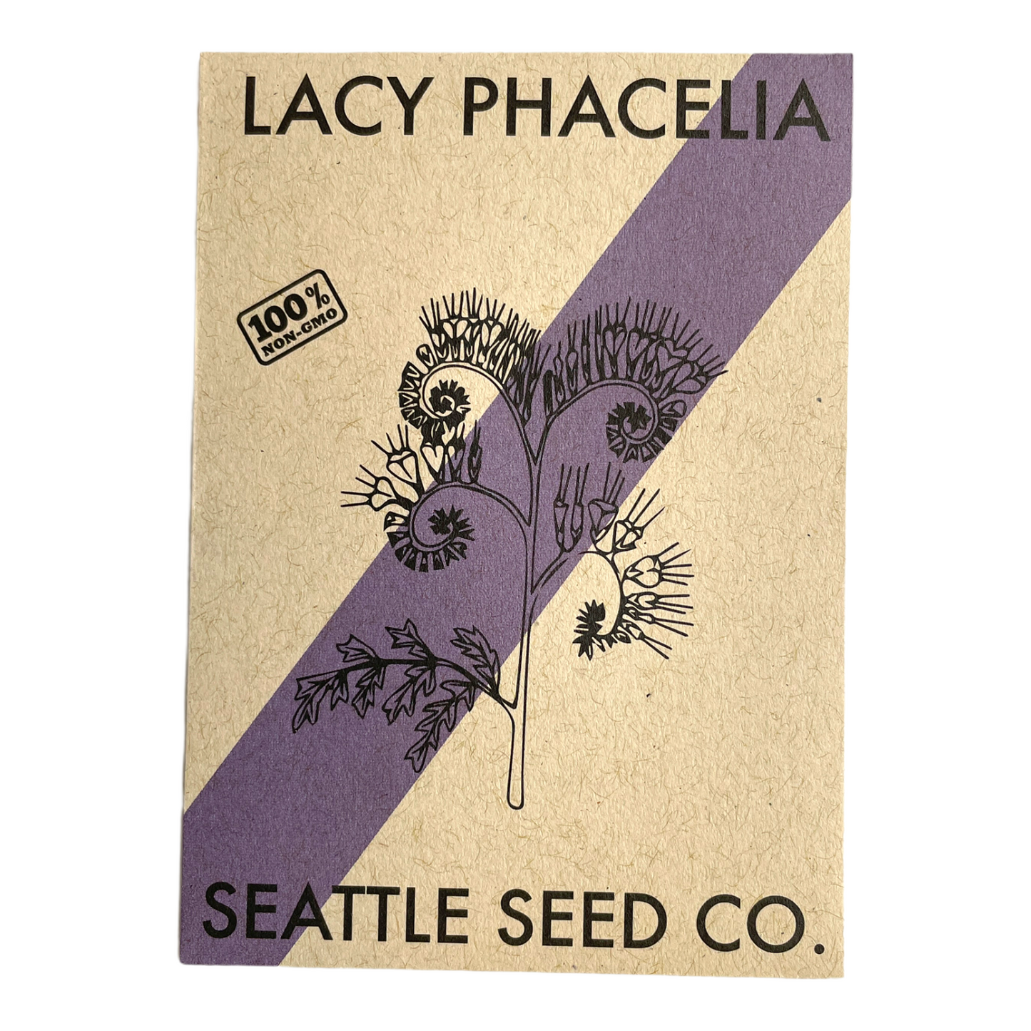 Lacy Phacelia Flower Seeds – Pollinator Favorite, Blooms June–September