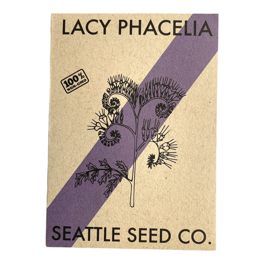 Lacy Phacelia Flower Seeds – Pollinator Favorite, Blooms June–September