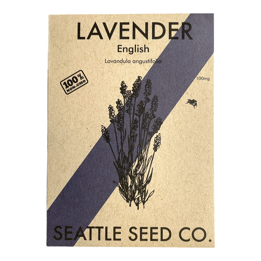 English Lavender Seeds – Fragrant Perennial Herb for Gardens & Aromatherapy