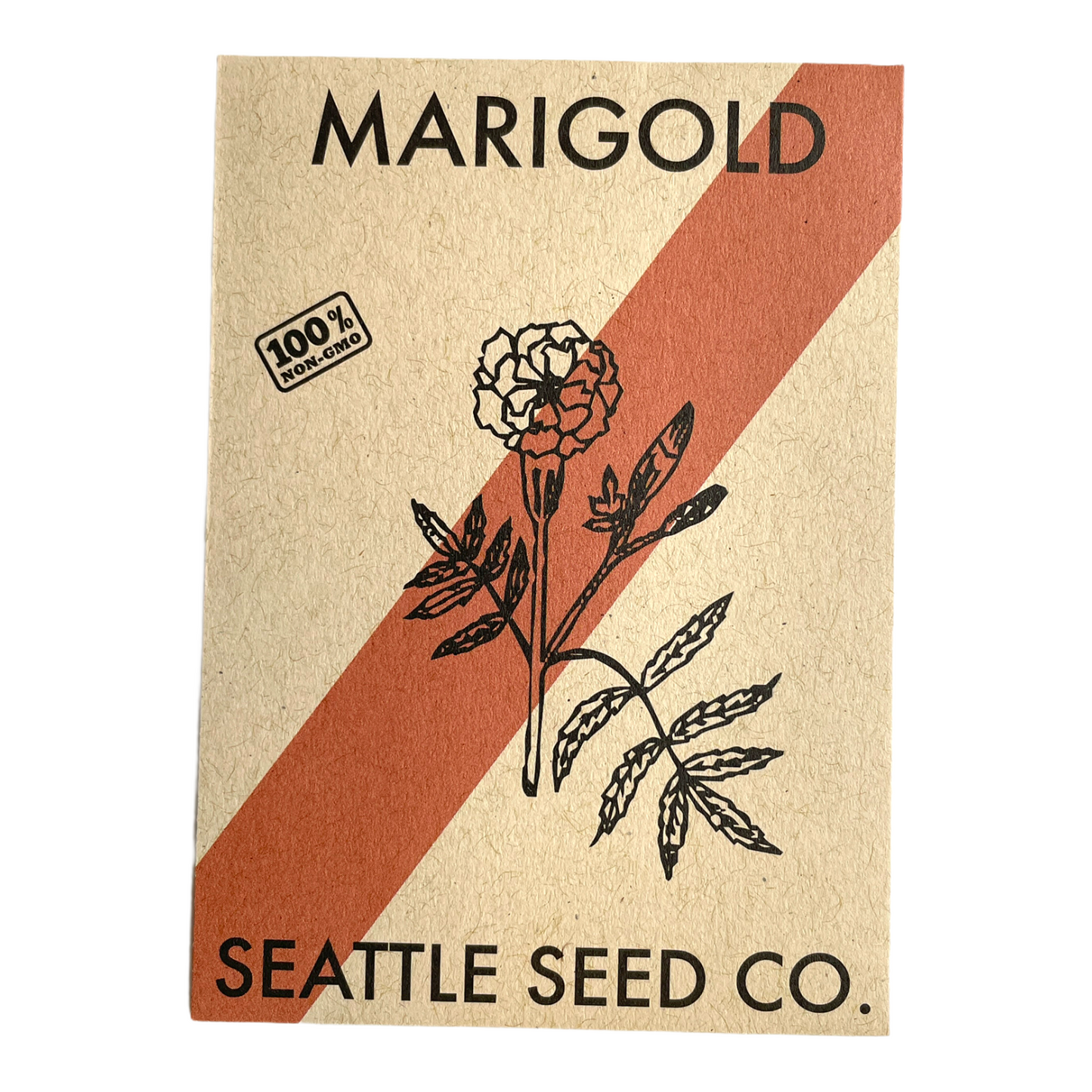 Crackerjack Marigold Seeds - Giant Blooms, Mixed Colors, Natural Pest Control