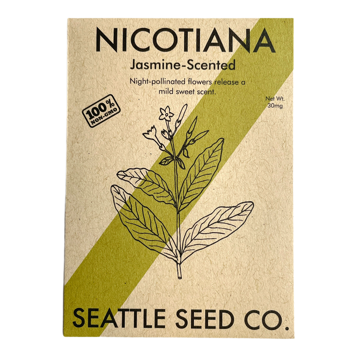 Jasmine Scented Nicotiana Seeds - Night-Blooming Annual Flower
