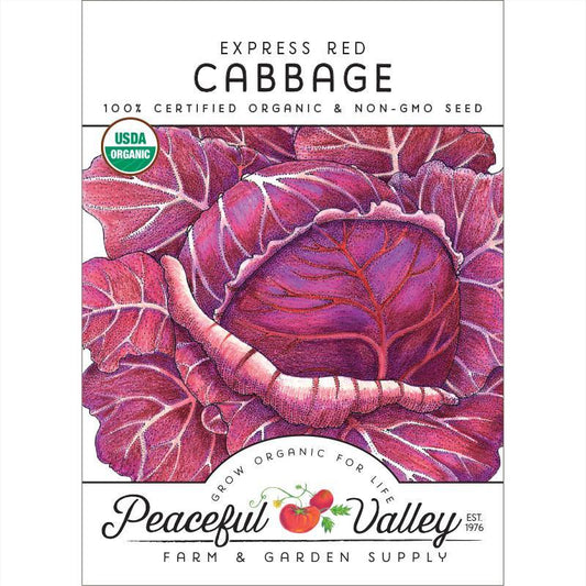 Organic Express Red Cabbage Seeds, Packet or 1/4 lb