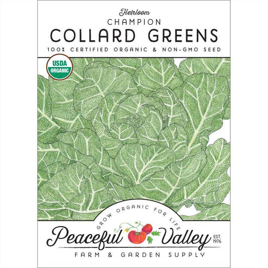 Organic Champion Collard Seeds, Heirloom, Packet or 1 oz